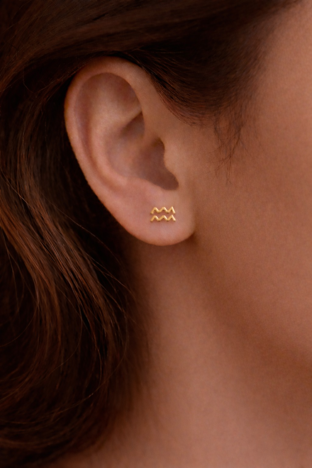 Zodiac Stud Earrings