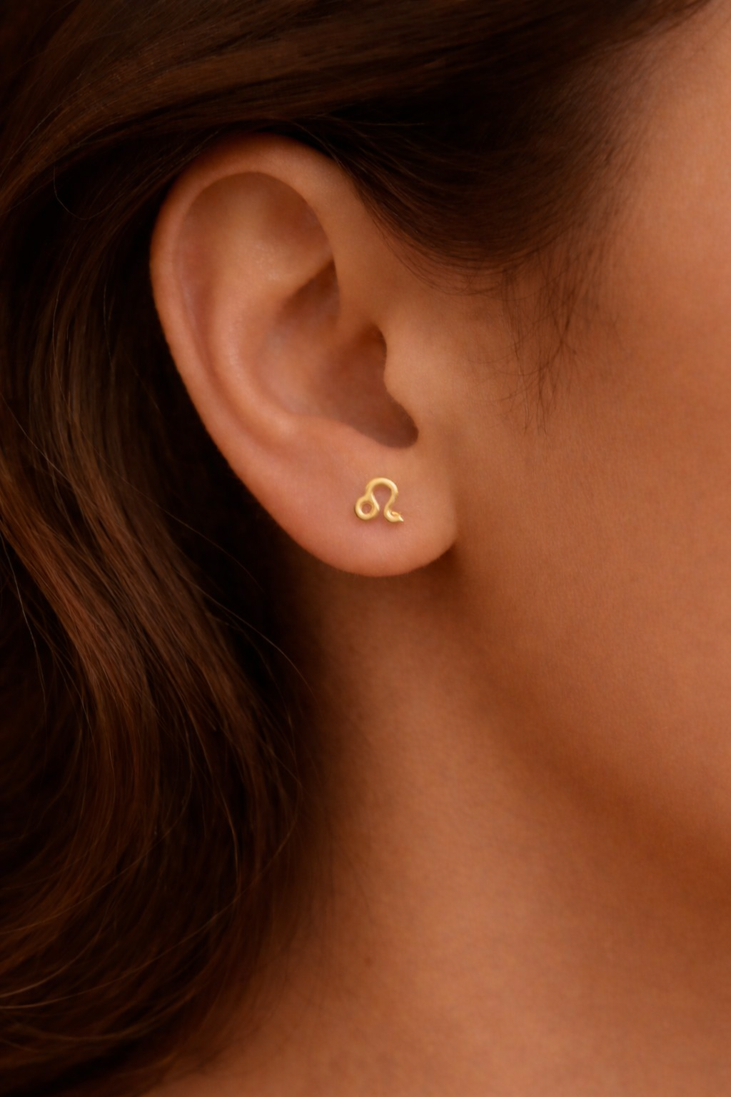 Zodiac Stud Earrings